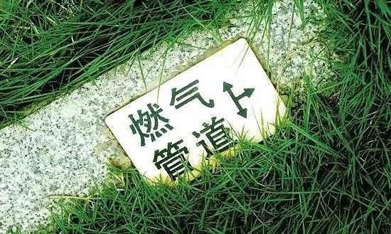 “城市生命线”是什么？1946伟德bet官方网站带你一起看
